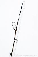 Twig