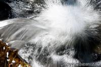 Water in Motion
