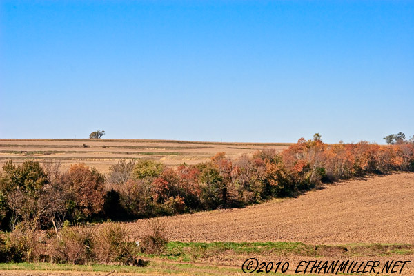 _mg_7200-30.jpg