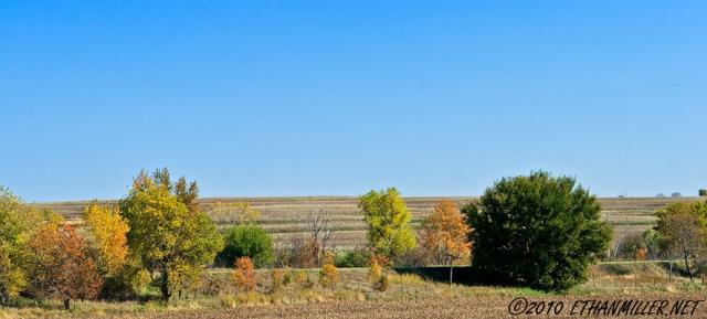 _mg_7243-73.jpg