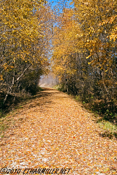 _mg_956111174.jpg