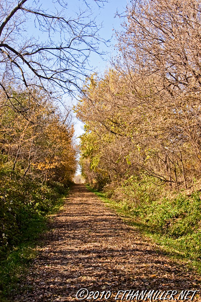 _mg_959111204.jpg