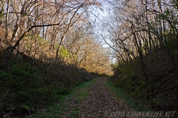 _mg_982710145-2.jpg